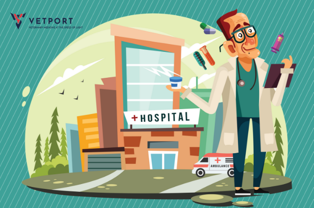 How To Make The Most Of Your Veterinary Practice Management Software